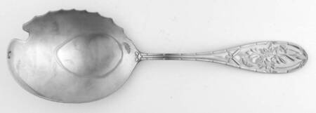 Botanic Garden Buffet Spoon-All Stainless