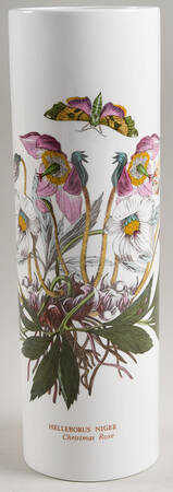 Botanic Garden Pasta Jar No Lid