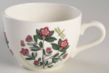 Botanic Garden Jumbo Cup