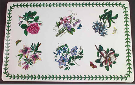 Botanic Garden Corkboard Placemat