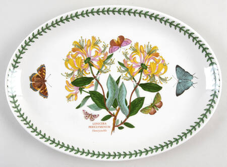 Botanic Garden 13" Oval Steak Platter by Portmeirion