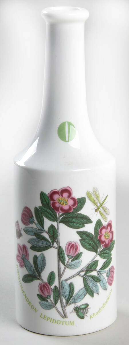Botanic Garden Oil Cruet No Stopper