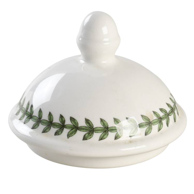 Botanic Garden Lid for Bath Jar