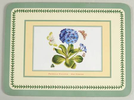Botanic Garden Small Green Border Corkboard Placemat