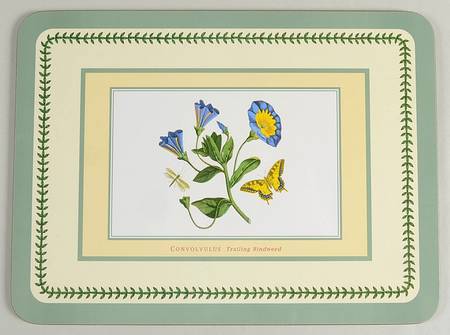 Botanic Garden Small Green Border Corkboard Placemat