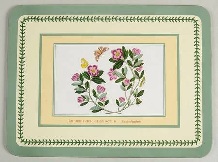 Botanic Garden Small Green Border Corkboard Placemat