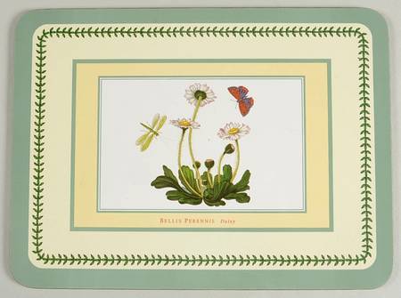 Botanic Garden Small Green Border Corkboard Placemat