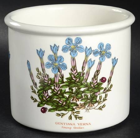 Botanic Garden 5" Planter Pot