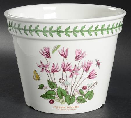 Botanic Garden 6" Flower Pot with Drain Hole