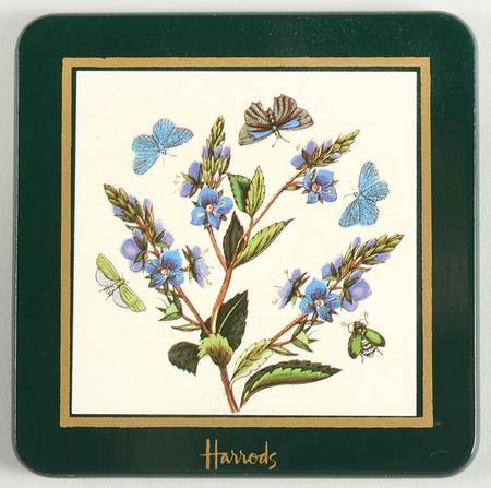 Botanic Garden Green Border Square Wood Coaster W/Felt Back