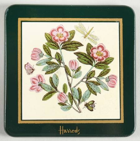 Botanic Garden Green Border Square Wood Coaster W/Felt Back