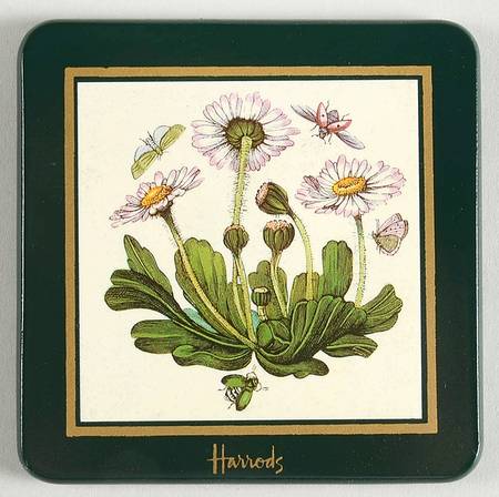 Botanic Garden Green Border Square Wood Coaster W/Felt Back