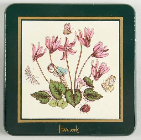 Botanic Garden Green Border Square Wood Coaster W/Felt Back