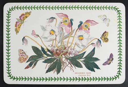 Botanic Garden 17" Large Corkboard Placemat
