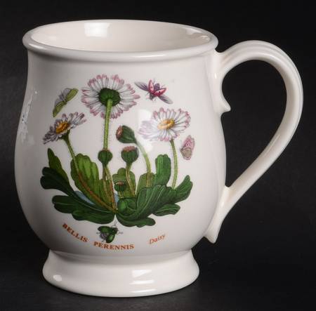 Botanic Garden Bristol Mug