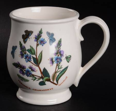 Botanic Garden Bristol Mug