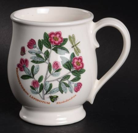 Botanic Garden Bristol Mug