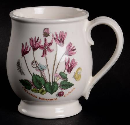 Botanic Garden Bristol Mug