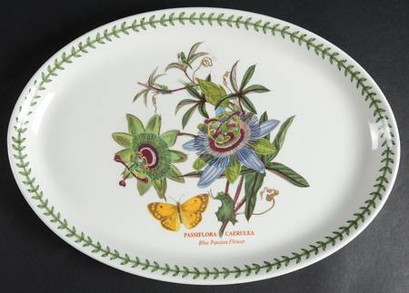 Botanic Garden 13" Oval Steak Platter