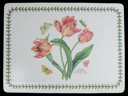 Botanic Garden Corkboard Placemat