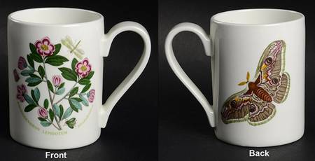 Botanic Garden 1972 Flower & Butterfly Mug