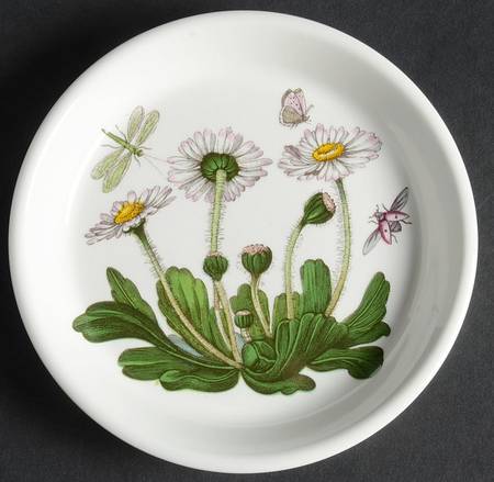Botanic Garden Coaster