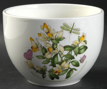 Botanic Garden Chili Bowl