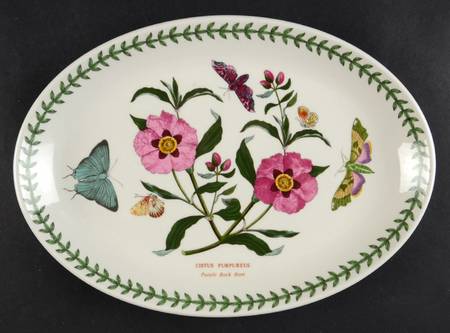 Botanic Garden 10" Oval Steak Platter