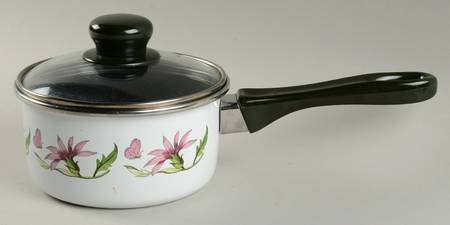 Botanic Garden 1 Qt Metal Saucepan & Glass Lid