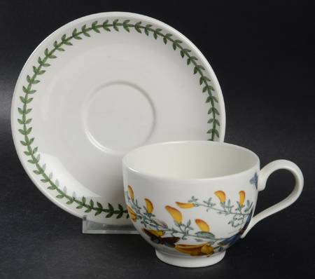 Botanic Garden 25th Anniversary Traditional Cup & Saucer