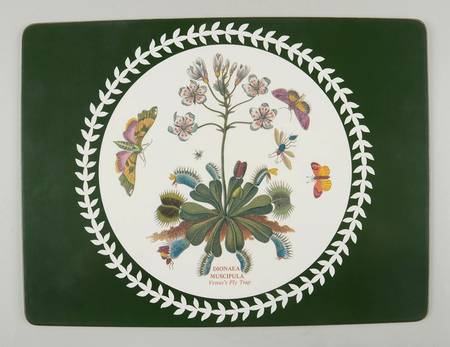 Botanic Garden 15" Rectangular Corkboard Placemat