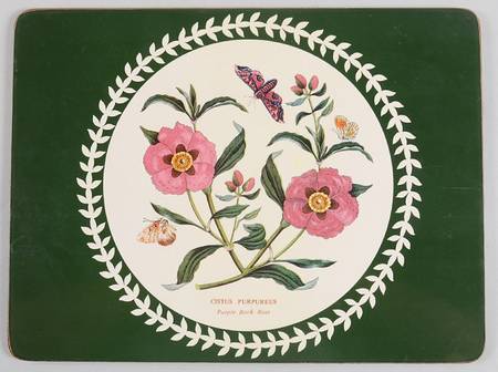 Botanic Garden 12" Rectangular Coarkboard Placemat
