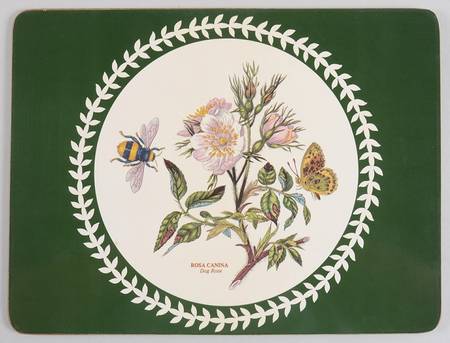 Botanic Garden 12" Rectangular Corkboard Placemat