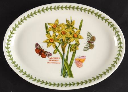 Botanic Garden 9" Oval Steak Platter