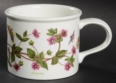 Botanic Garden Drum Breakfast Cup/Mug