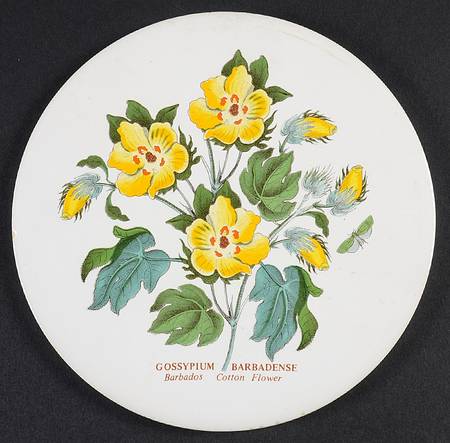 Botanic Garden 6" Round Trivet