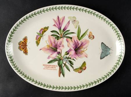 Botanic Garden 13" Oval Steak Platter by Portmeirion