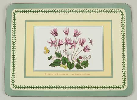 Botanic Garden Small Green Border Corkboard Placemat