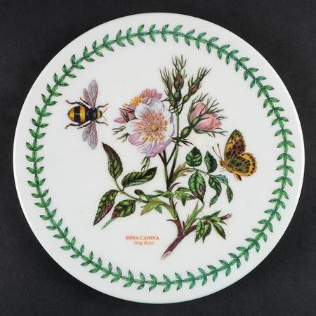 Botanic Garden Melamine/Melmac Trivet