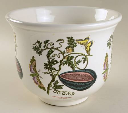 Botanic Garden 7" Planter Pot (Bulb Shaped)