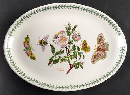 Botanic Garden 13" Oval Steak Platter