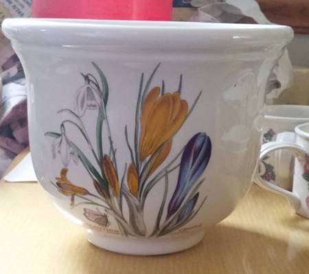 Botanic Garden 5" Flared Planter Pot