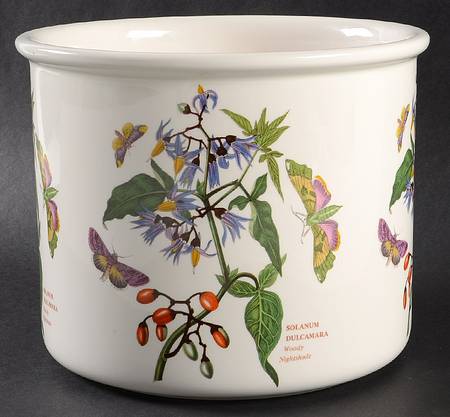 Botanic Garden 6" Planter Pot