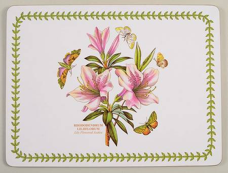 Botanic Garden Small Corkboard Placemat