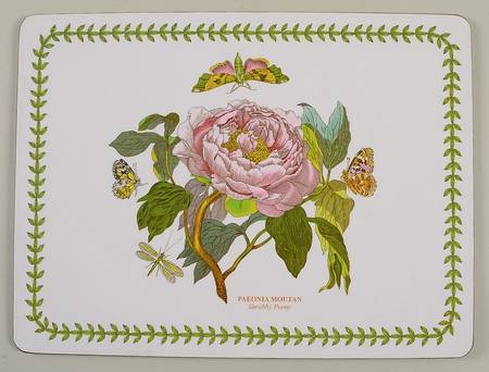 Botanic Garden Small Corkboard Placemat