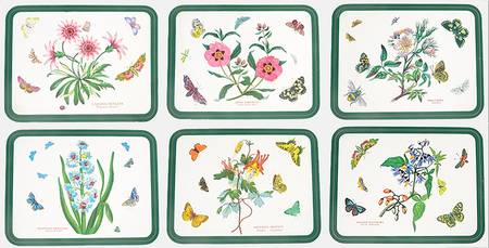 Botanic Garden (Set of 6) 10" Rect Corkboard Placemats w/Grn Bdr