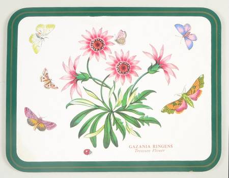 Botanic Garden 10" Rectangular Corkboard Placemat w/Green Border