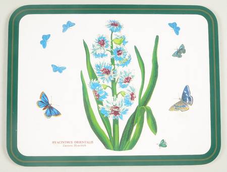 Botanic Garden 10" Rectangular Corkboard Placemat w/Green Border
