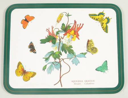 Botanic Garden 10" Rectangular Corkboard Placemat w/Green Border