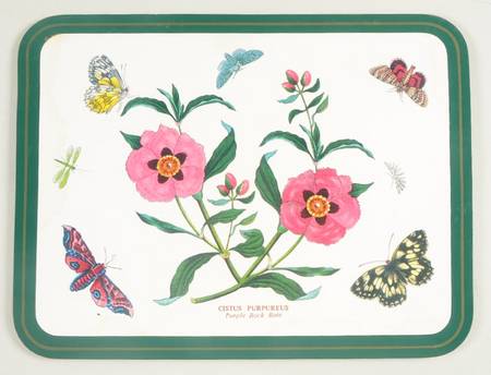 Botanic Garden 10" Rectangular Corkboard Placemat w/Green Border